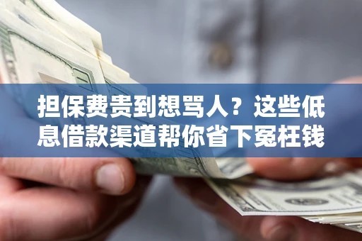 济南担保费贵到想骂人？这些低息借款渠道帮你省下冤枉钱