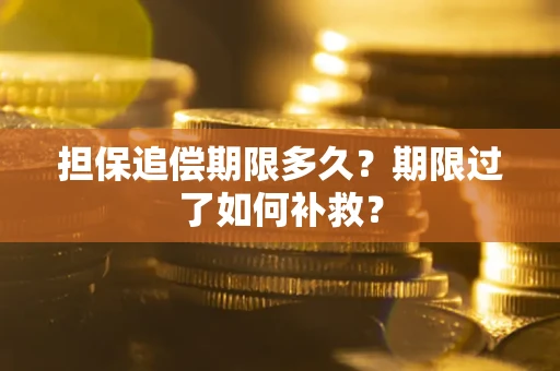 济南担保追偿期限多久？期限过了如何补救？